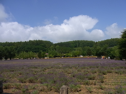 f0229399_14585819.jpg