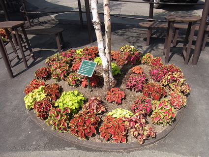 f0229399_15333388.jpg