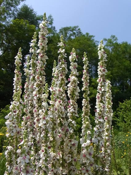 f0229399_15424259.jpg