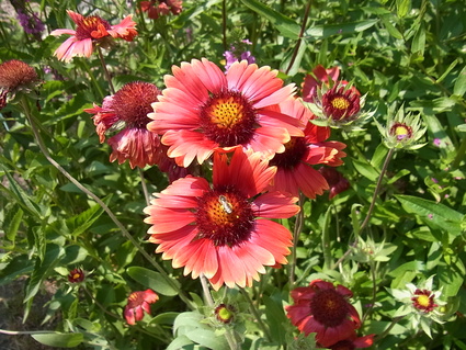 f0229399_15512147.jpg