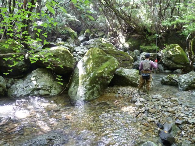 b0025101_0164789.jpg