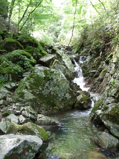 b0025101_0192347.jpg