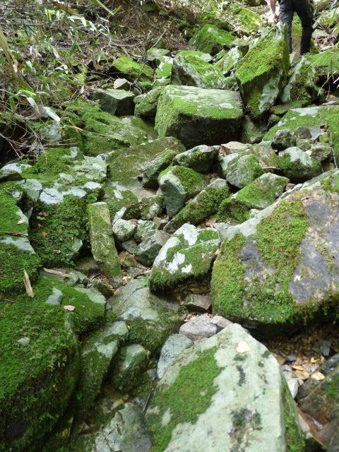 b0025101_0244656.jpg