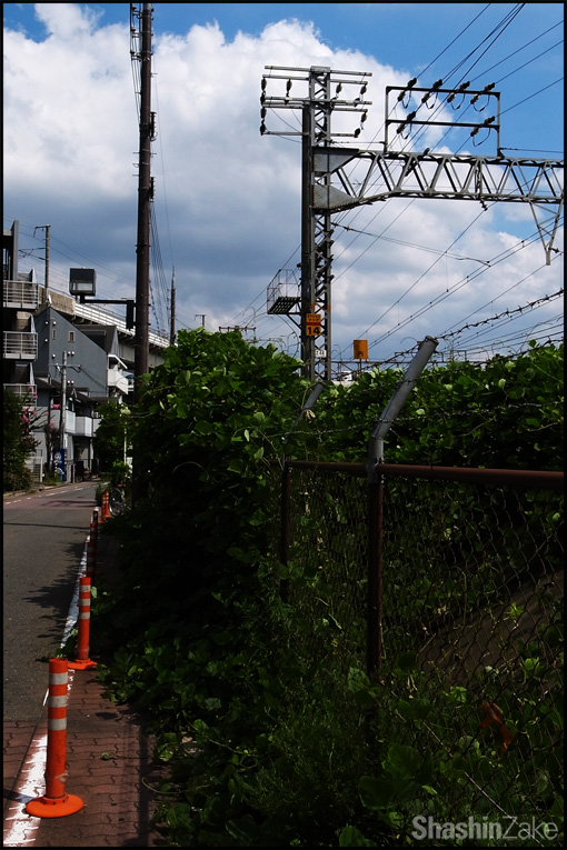 c0102003_23101481.jpg