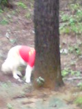 e0072606_12374913.jpg