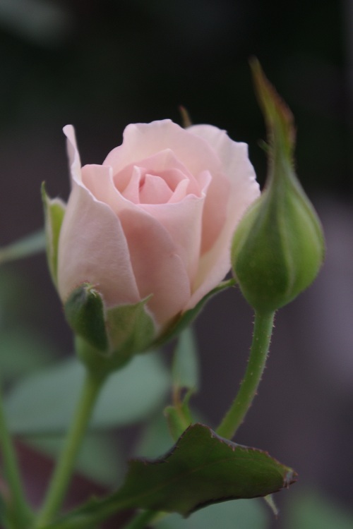 c0147909_6463815.jpg