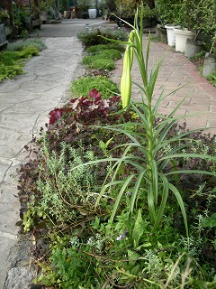 c0190010_18513674.jpg
