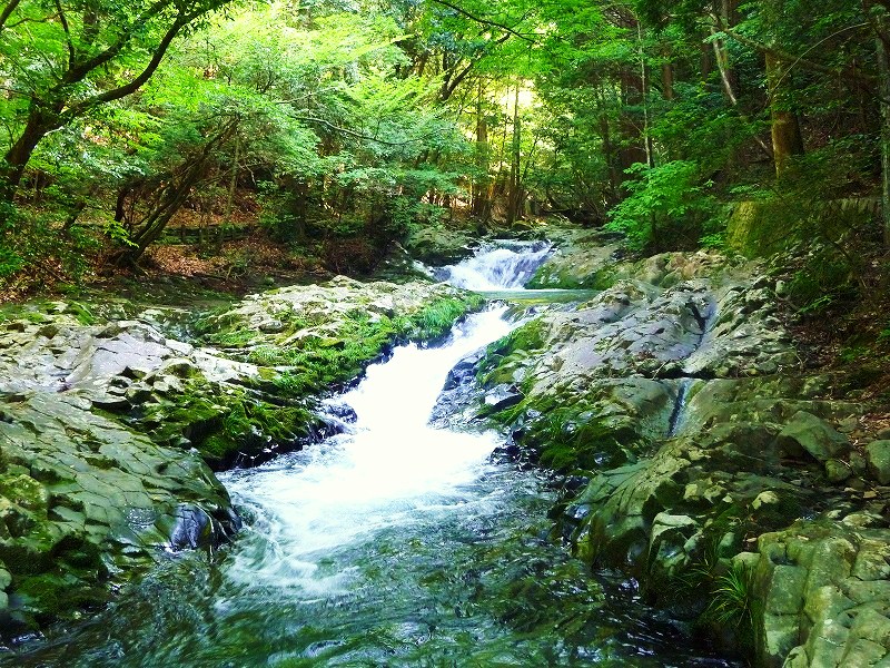 f0182513_23233022.jpg