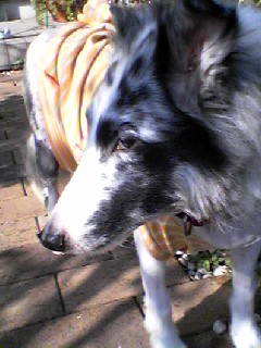 c0150520_22441815.jpg