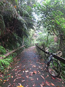 d0023725_18244728.jpg