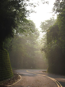 d0023725_18244821.jpg