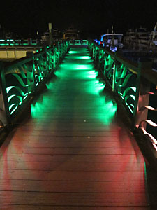 d0023725_1842519.jpg