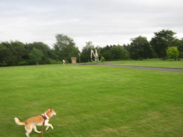 e0191826_2333442.jpg