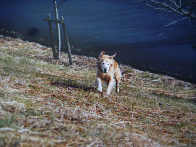 e0142430_10104197.jpg