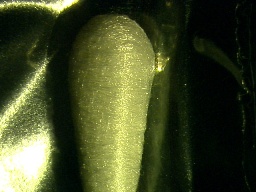 f0088231_22102218.jpg