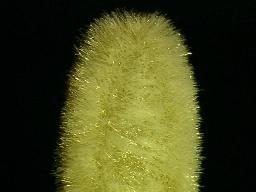 f0088231_2210841.jpg