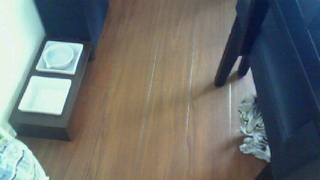c0125532_17154433.jpg