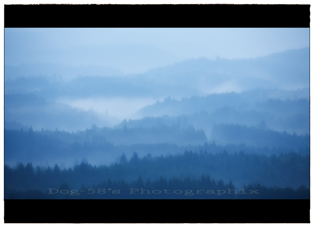 d0004832_2062975.jpg