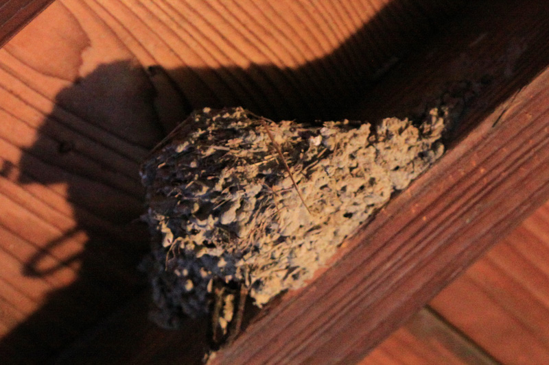 b0177233_5315598.jpg