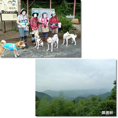 d0140133_12254314.jpg