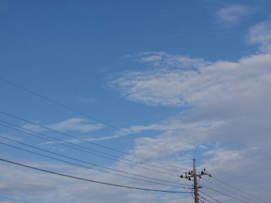 d0093936_17125860.jpg