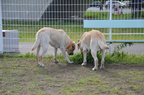 d0156438_1291796.jpg