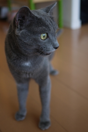 a0143140_23131381.jpg
