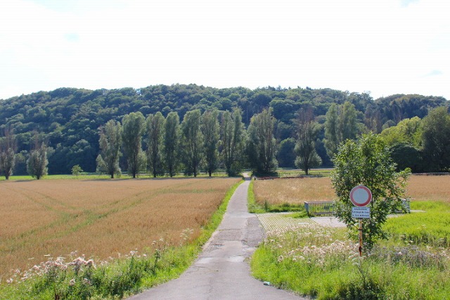 c0153740_3382227.jpg