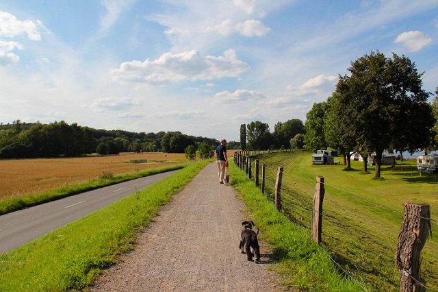 c0153740_3391646.jpg