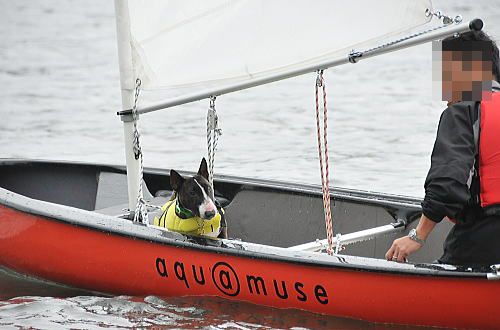 f0094843_1138662.jpg