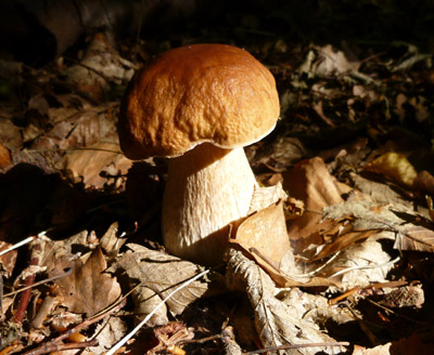 b0069848_115951.jpg