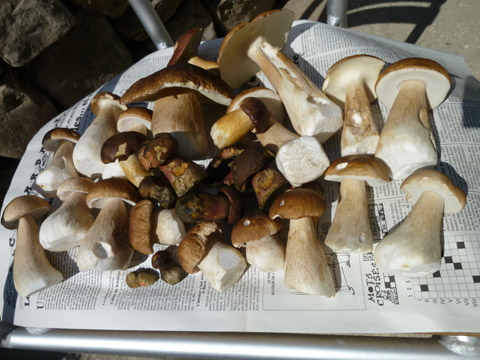 b0069848_125185.jpg