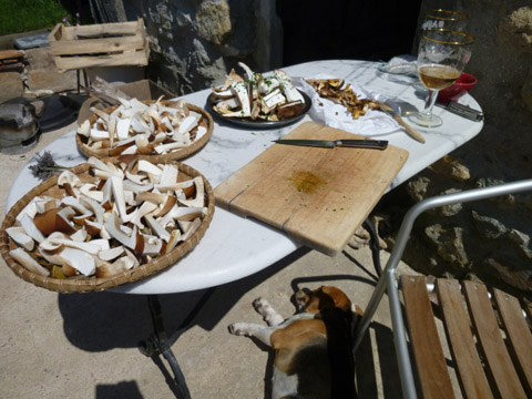 b0069848_1252469.jpg