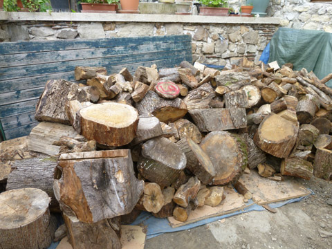 b0069848_7262364.jpg