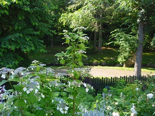e0004756_9434668.jpg
