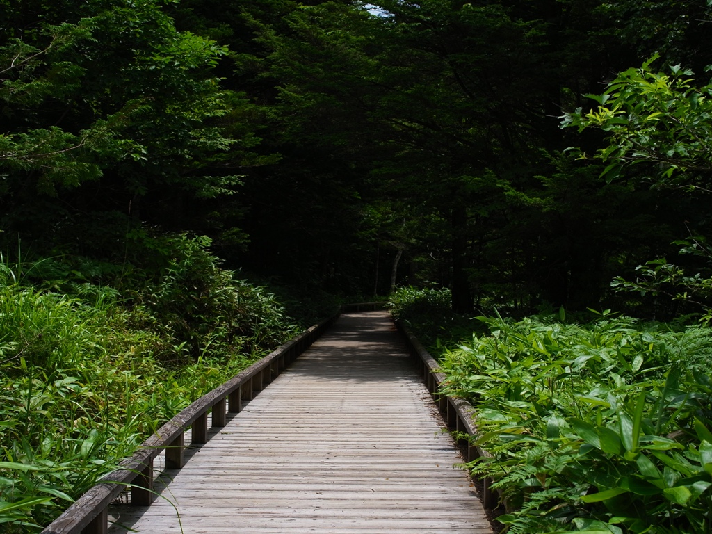 e0223456_913731.jpg