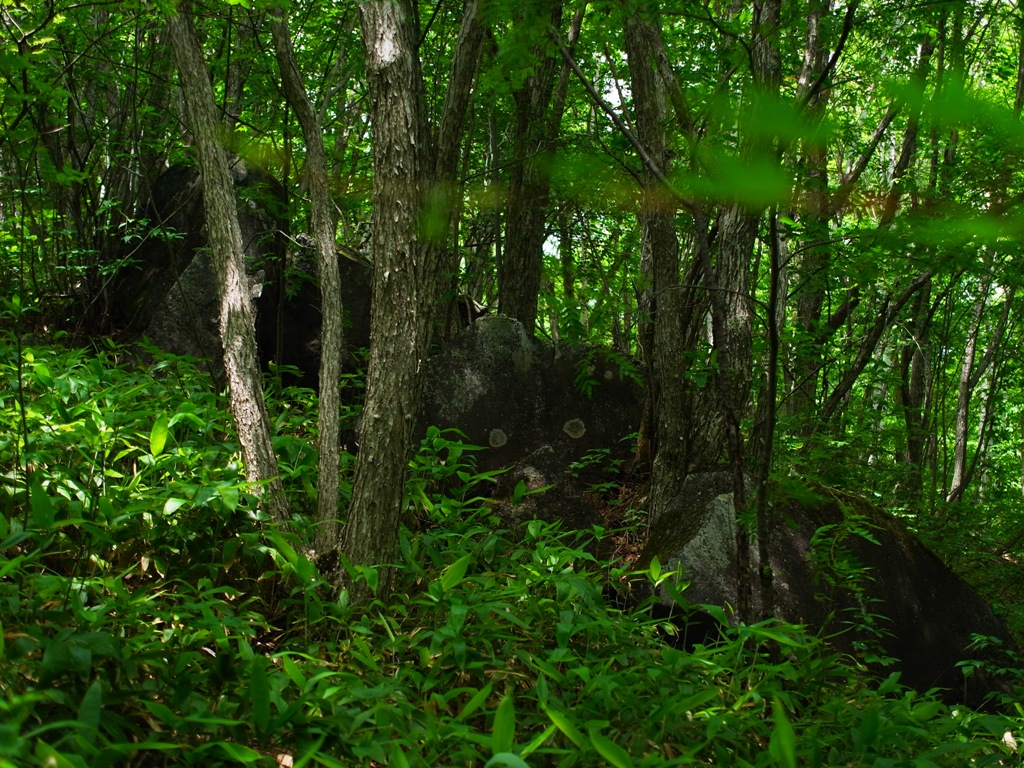 e0223456_941739.jpg