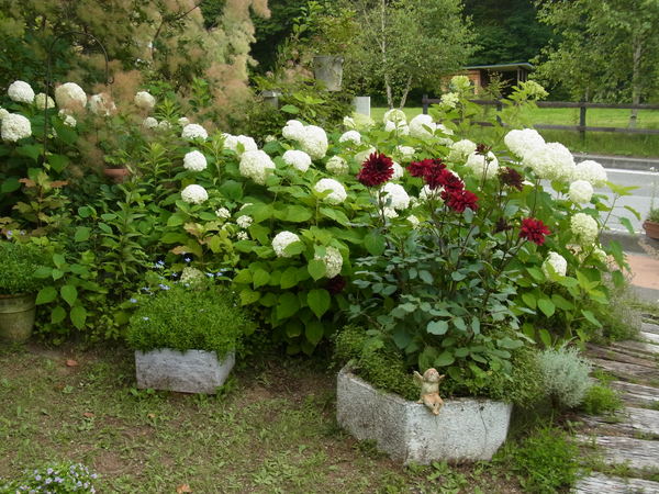 e0116960_20531653.jpg