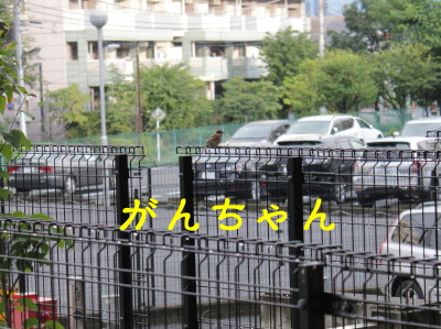 b0158061_2334022.jpg
