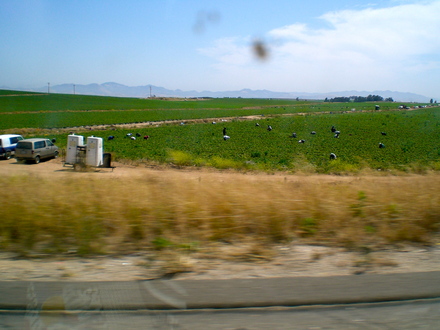 a0199262_116869.jpg