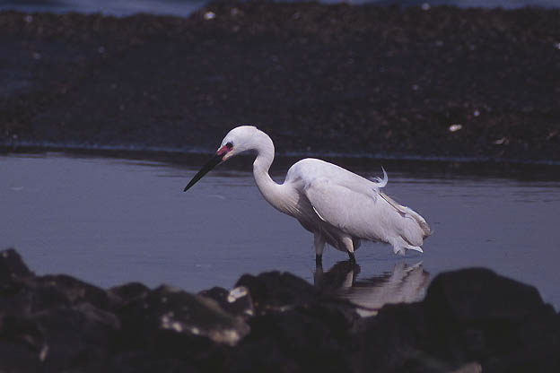 e0000968_22404118.jpg