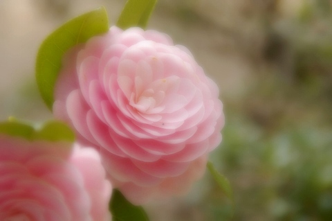 e0045768_22144159.jpg
