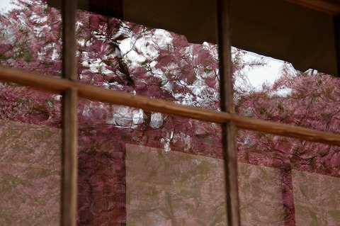 e0045768_2214490.jpg