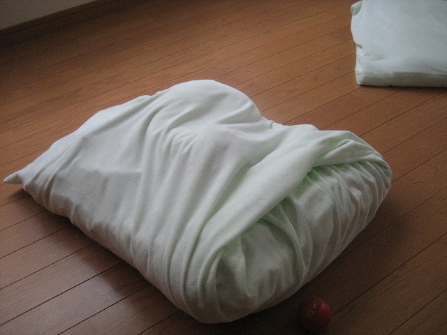 e0106372_1438398.jpg