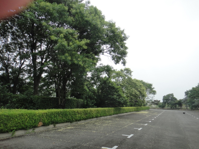 f0137275_3181544.jpg