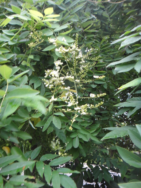 f0137275_327290.jpg