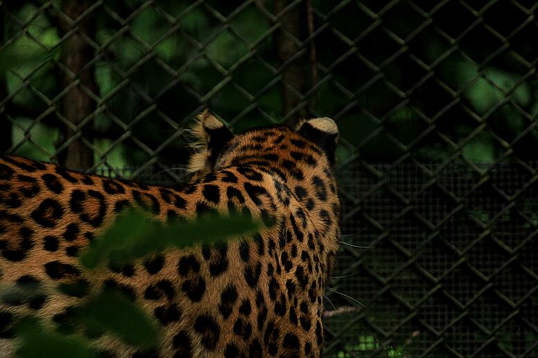 c0073377_19394641.jpg