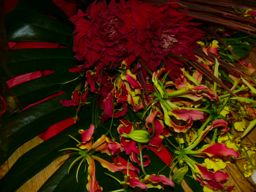 c0072379_22112744.jpg
