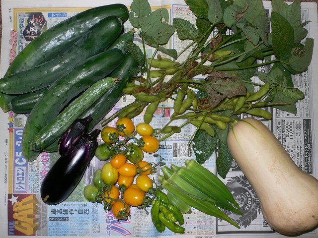 b0042882_1222151.jpg