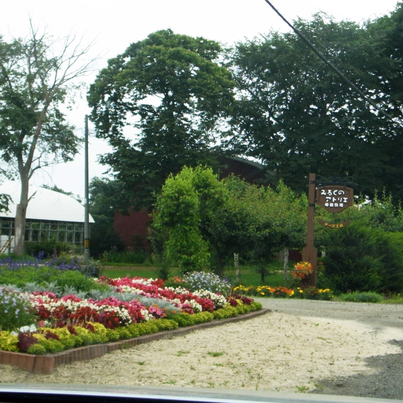 b0142688_153481.jpg